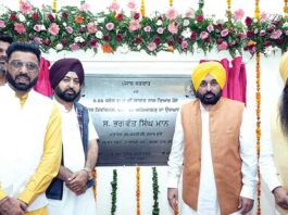 Punjab News