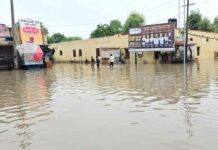 Taranagar News
