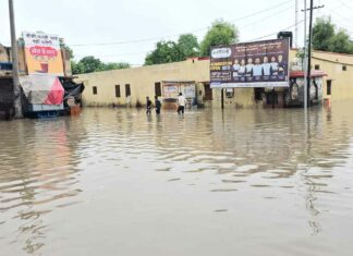 Taranagar News