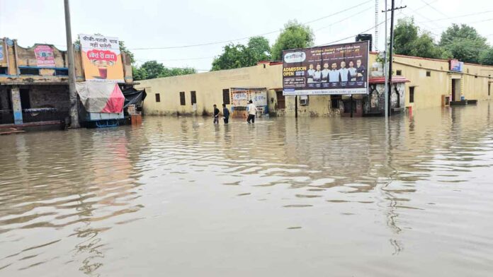 Taranagar News
