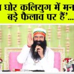 Saint MSG