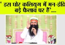 Saint MSG