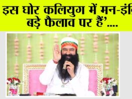 Saint MSG