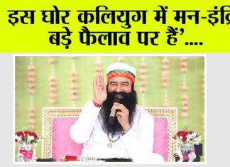 Saint MSG