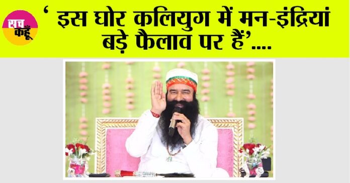 Saint MSG