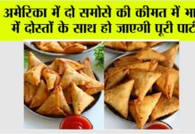 Samosa Price in USA