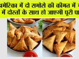 Samosa Price in USA