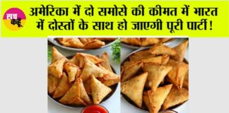Samosa Price in USA