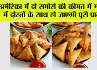 Samosa Price in USA