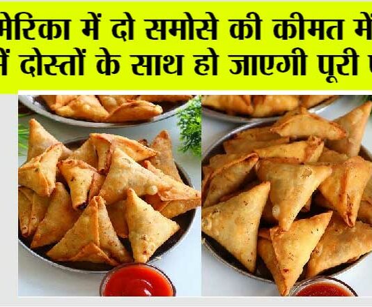Samosa Price in USA