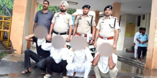 Sirsa News