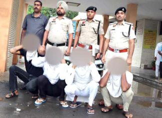 Sirsa News