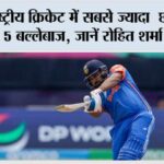 Sixer King of Cricket