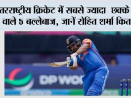 Sixer King of Cricket
