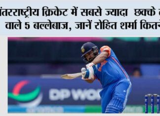 Sixer King of Cricket