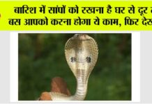Snake