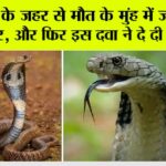 Snake News