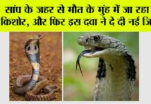 Snake News
