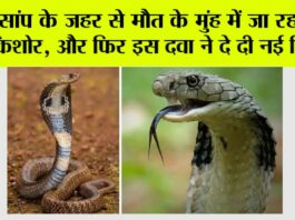 Snake News