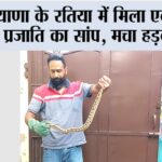 Snake News