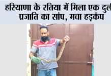 Snake News