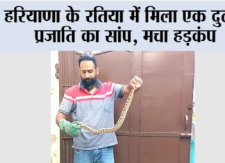 Snake News