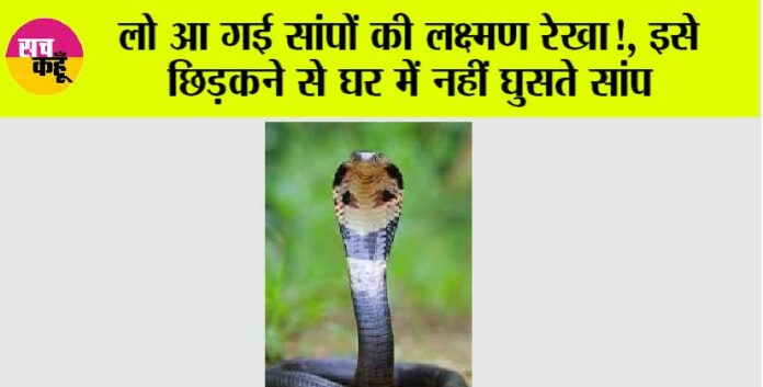 Snake News