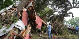 Texas News