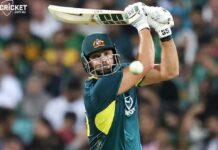 Tim David T20 century