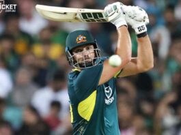 Tim David T20 century