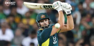 Tim David T20 century