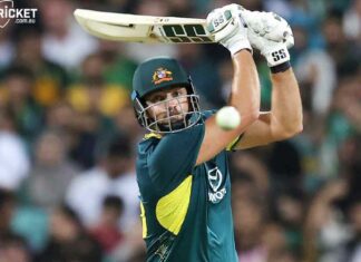 Tim David T20 century