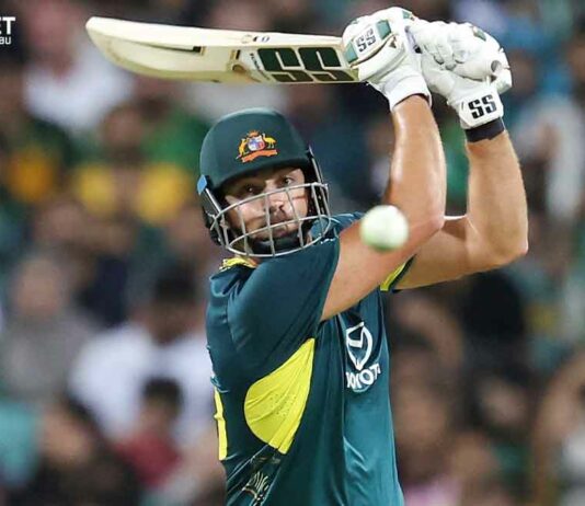 Tim David T20 century