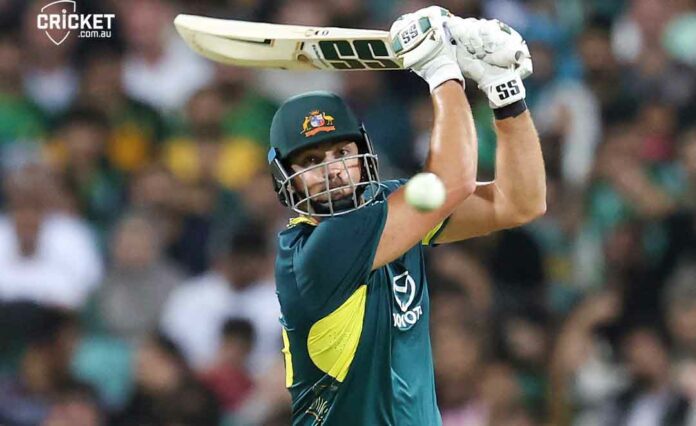 Tim David T20 century