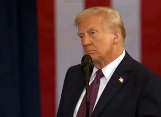 US Japan Trade Deal