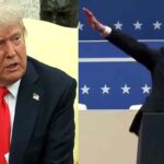 Donald Trump Elon Musk News