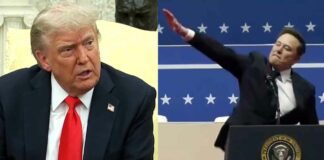 Donald Trump Elon Musk News