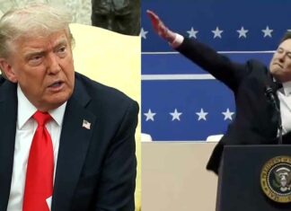 Donald Trump Elon Musk News