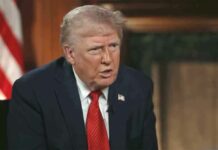 Trump tariff News