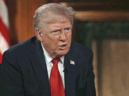 Trump tariff News