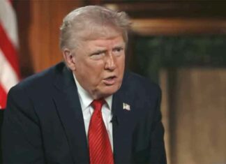 Trump tariff News