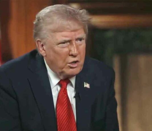 Trump tariff News
