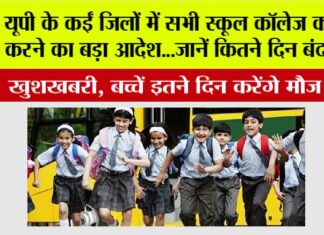 UP School Holiday: यूपी के इन जिलों में सभी स्कूल कॉलेज को बंद करने का बड़ा आदेश…जानें कितने दिन बंद रहेंगे UP School Holiday