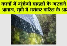 UP Weather