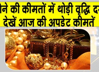 Gold Price Today