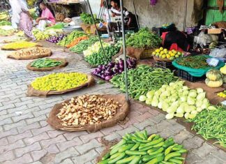 Vegetable Prices Increased
