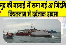 Vietnam Cruise accident News