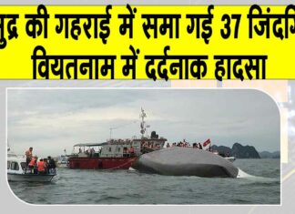 Vietnam Cruise accident News