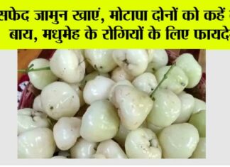 White Jamun Benefits