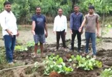Yamunanagar News